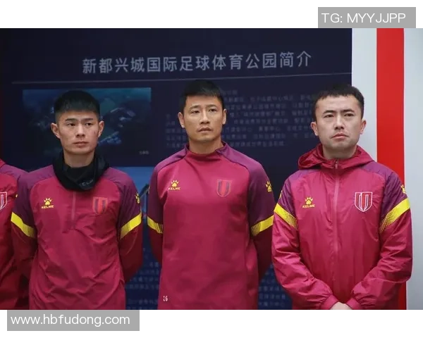 杭州排球队的蜕变与崛起：城市联赛中的奋斗与希望